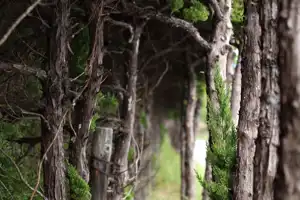 2025-10-00 Osaka, Japan - Osaka (129).webp